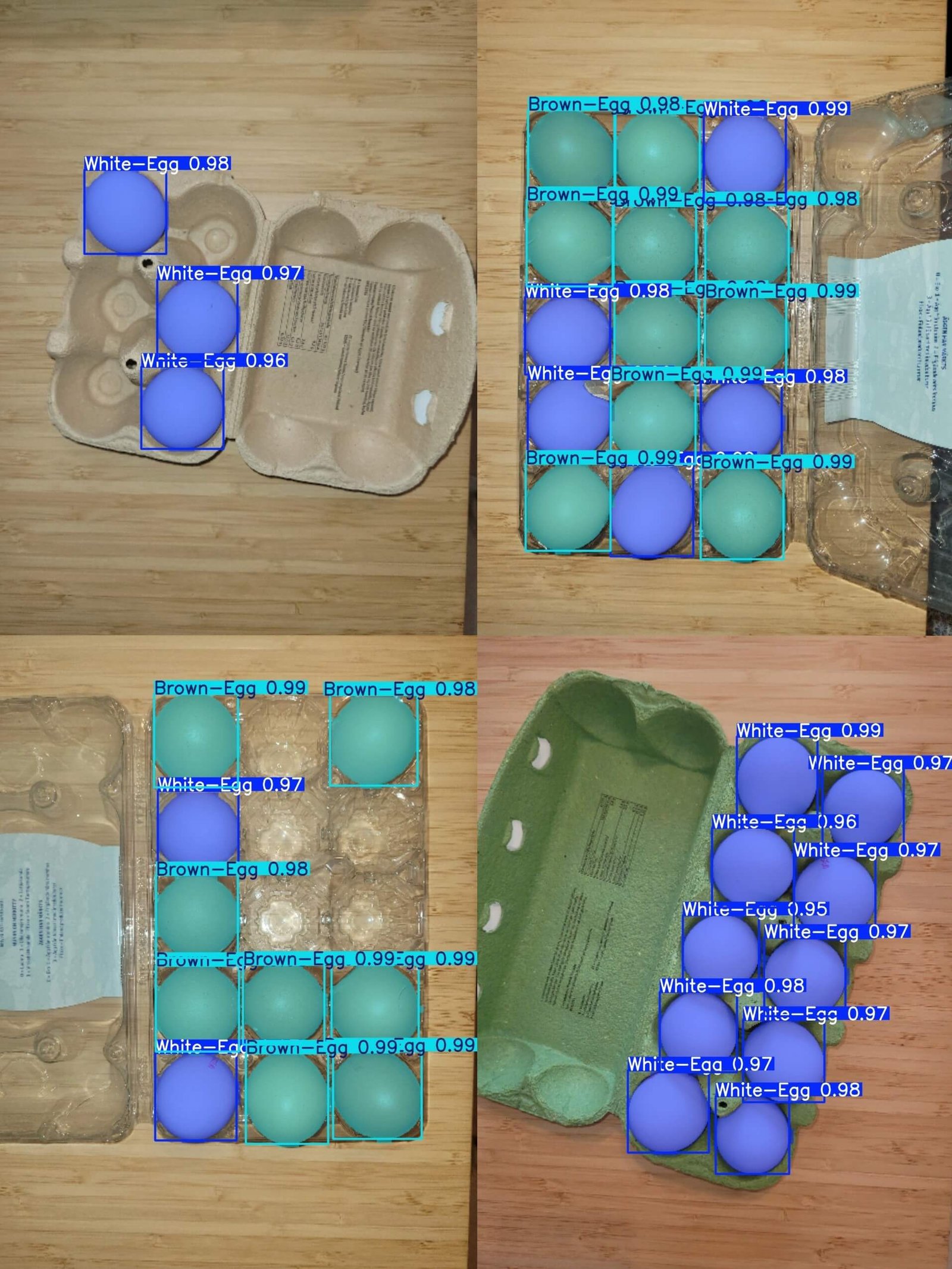Egg Instance segmentation Dataset Example