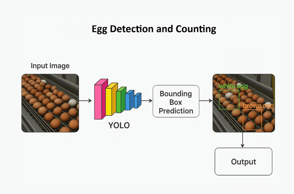 AI-Powered Egg Detection & Counting – A Scalable Solution for the Egg Industry